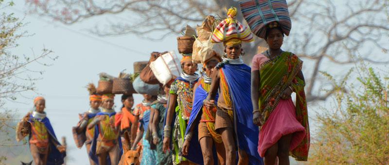 Odisha Tribal Tour